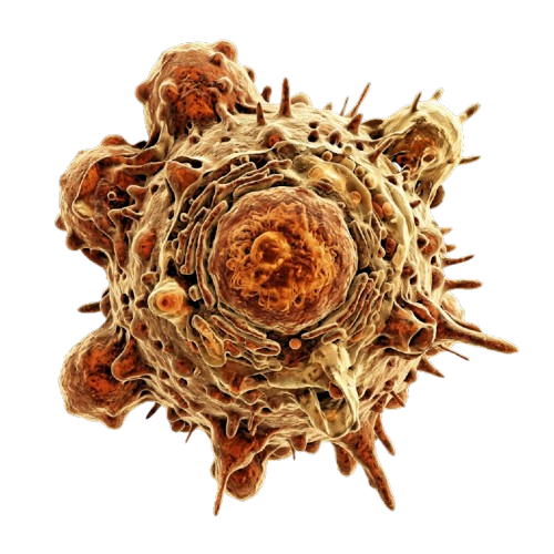 Cancer Cell Graphic